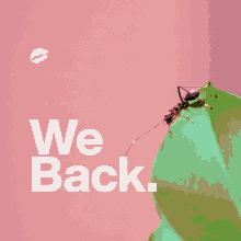 We Back Smack GIF - We Back Smack Ant GIFs