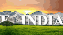 India Indian Flag GIF - India Indian Flag GIFs