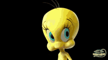 tweety bird facepalm stress cute tweety bird facepalm stress cute