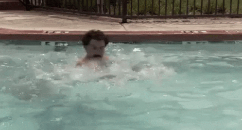 Borat Bear GIF - Borat Bear Swimming GIFs