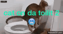 Cat Toilet GIF - Cat Toilet Cat Toilet GIFs