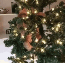 Cat Christmas Tree GIF - Cat Christmas Tree GIFs