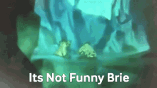 Not Funny Lion King GIF - Not Funny Lion King Brie GIFs
