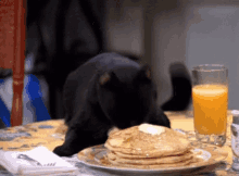 Pancake Pancakes GIF - Pancake Pancakes Cat GIFs