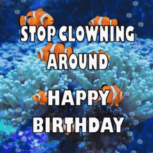 Happy Birthday Stop Clowning Around GIF - Happy Birthday Stop Clowning Around Clownfish GIFs