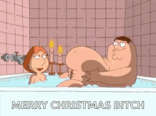Merry Christmas GIF - Merry Christmas Bitch GIFs