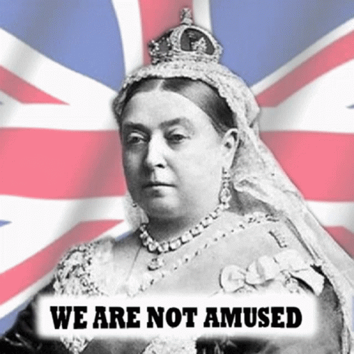 We Are Not Amused GIFs | Tenor