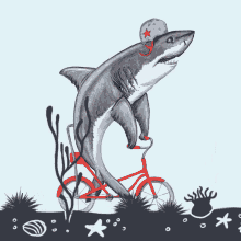 shark weeee yay bike bicycle