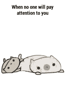 attention kitty