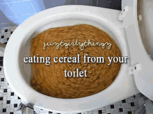 toilet things