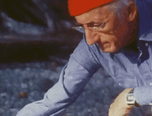 There, There Crab GIF - Crab Crab Petting Crabs GIFs