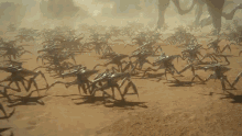 Arachnids GIF - Starship Troopers Traitorof Mars Sttom Film Starship Troopers GIFs