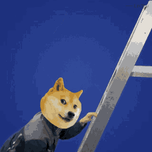 Doge Climbing Up Doge GIF - Doge Climbing Up Doge 1billion Subscribers GIFs