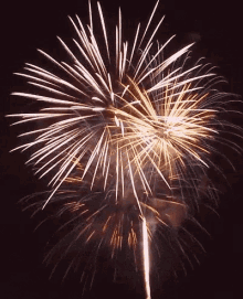 Happy Diwali Fireworks GIF - Happy Diwali Fireworks Celebrate GIFs