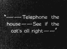 silent film silentfilm cat lady