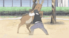nichijou deer wrestle wrestling anime