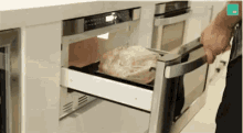 Microwave Turkey GIF - Microwave Turkey GIFs