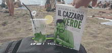 Salvini Papete Beach GIF - Salvini Papete Beach GIFs