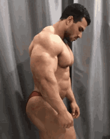hassan mostafa bodybuilder posing bicep