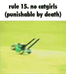 rule15 no catgirls