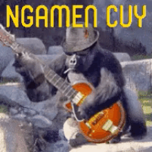 Ngamen Cuy GIF - Ngamen Monyet Gorila GIFs