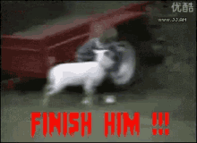 Goat Finishhim GIF - Goat Finishhim Kid GIFs
