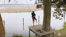 rope swing council of dads jump swing swim