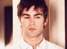 facepalm chace
