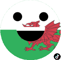 Wales Tiktok Sticker - Wales Tiktok Excited Stickers