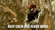 Keep Calm Kornik GIF - Keep Calm Kornik Plant Korn GIFs