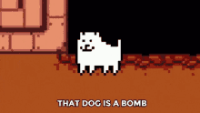 Dog Bomb That Dog Is A Bomb GIF - Dog Bomb That Dog Is A Bomb Bomb GIFs