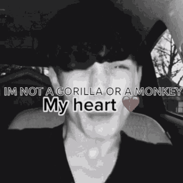 Monkey Gorilla GIF Monkey Gorilla Discover & Share GIFs