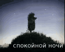 hedgehog in the fog good night sweet dreams sleeping