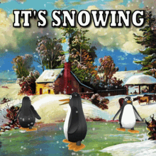 Its Snowing Snow Storm GIF - Its Snowing Snow Snow Storm GIFs