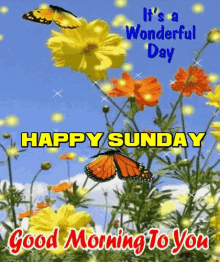 Happy Sunday Good Morning GIF - Happy Sunday Good Morning Sunday Morning GIFs