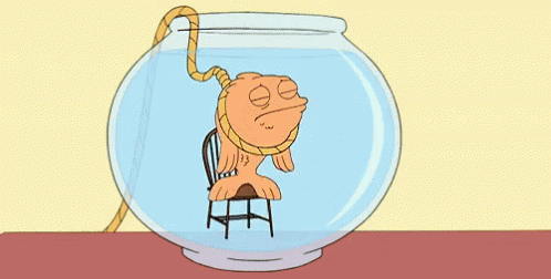 Fish Suicide - American Dad Hanging GIF - Hanging - Discover & Share GIFs