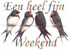 maar lekker