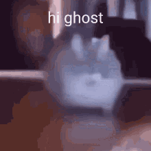Ghost Low Quality GIF - Ghost Low Quality Cat GIFs