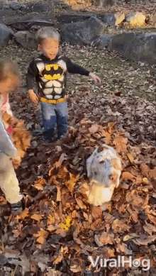 Dog Getting Covered With Leaves Kids Playing With Dog GIF - Dog Getting Covered With Leaves Kids Playing With Dog Covering The Dog GIFs