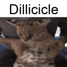 Floppa Dillicicle GIF - Floppa Dillicicle Serval GIFs