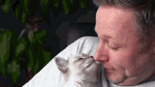 cat lick