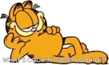 Garfield Cool GIF - Garfield Cool Relax GIFs