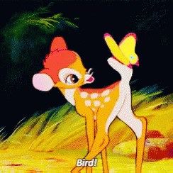 bambi-bird.gif