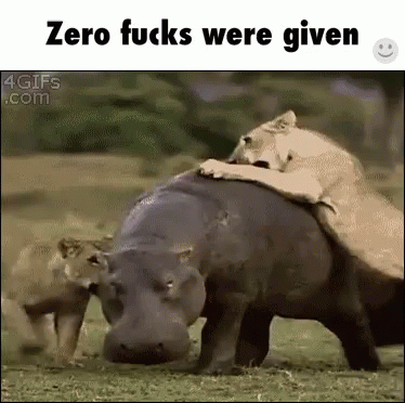Hippo Fuck