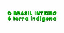 brasil terra indigena biarritzzz atl