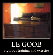 Le Goob Rigorous Training And Exercise GIF - Le Goob Rigorous Training And Exercise GIFs