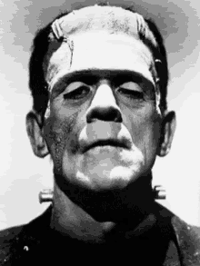 Frankenstein Bride Of Frankenstein GIF - Frankenstein Bride Of Frankenstein GIFs