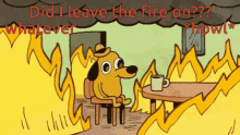 I Dont Care Fire GIF - I Dont Care Fire GIFs