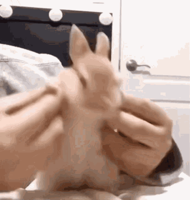 bunny-cute.gif