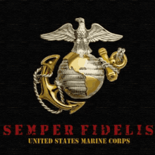 United States GIF - United States Marine GIFs